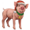 [img=https://gaia.equideow.com/media/equideo/image/produits/60/compagnon-pig.png]