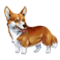 [img=./faq/images/compagnons_60/corgi.png]