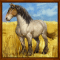 [img=https://gaia.equideow.com/media/equideo/image/chevaux/special/60/adulte/impressionism.png]
