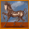 [img=https://gaia.equideow.com/media/equideo/image/chevaux/special/60/adulte/surrealism.png]